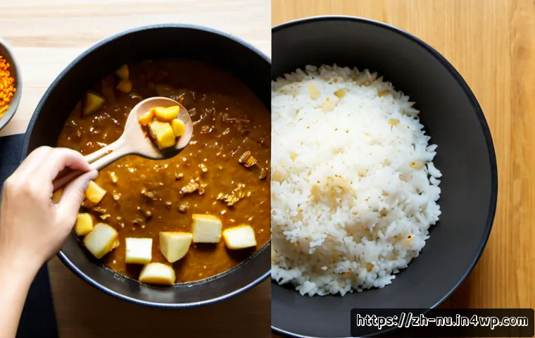 일본식 카레라이스 조리하기 - Photorealistic overhead kitchen scene of Japanese-style curry rice being prepared: a home cook’s han...